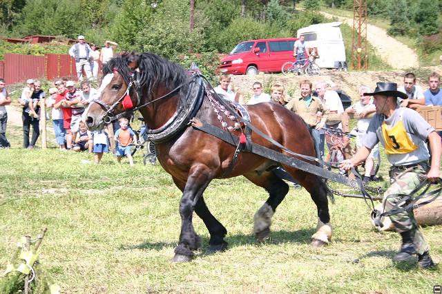img00022.jpg